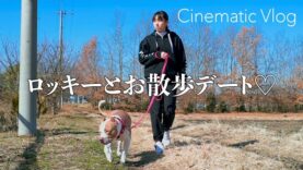 ロッキーとお散歩デート♡【ブログ】【Cinematic Vlog】