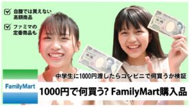 【FamilyMart】コンビニでいきなり1000円渡したら何買ってくる？【ニコラ】【購入品紹介】