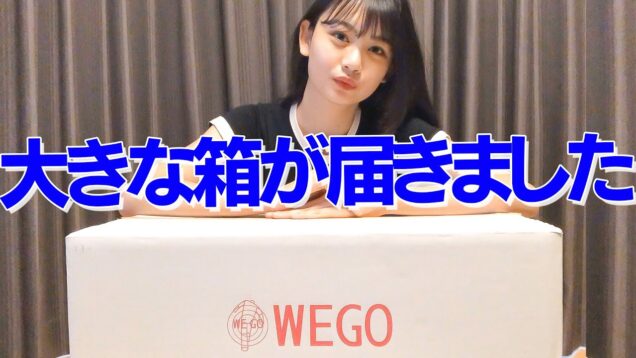 【大量】WEGOから箱が届いたので開封します【安村真奈】