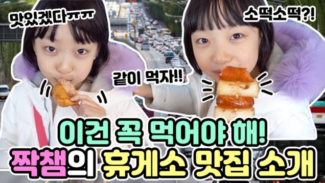 짝챔의 휴게소 맛집 소개!❤ 이건 꼭 먹어야해! 맛있는 휴게소 먹방!  Vitamin Vlog | 데일리 클레버