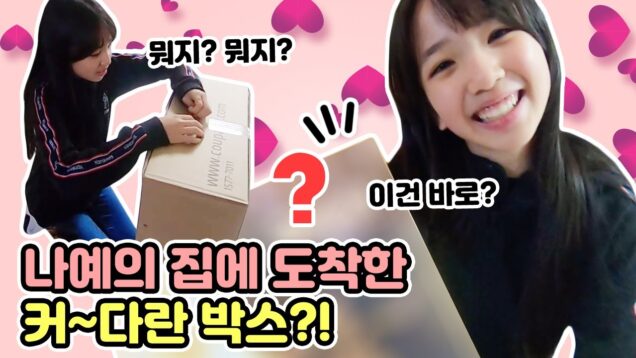 나예의 집에 도착한 커~다란박스!♥ 과연 박스에 들어있는 것은 무엇일까요?! Vitamin Vlog | 데일리 클레버