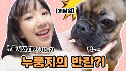 누룽지의 반란?! ♥누룽지랑 대화가능한 나예뮤ㅋㅋ클레버TV가서 즐겁게 연습하기! Vitamin VLOG | 데일리클레버