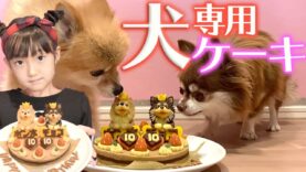 【犬用 誕生日ケーキ】愛犬そっくりケーキをどう食べる!? 10歳の誕生日お祝い♪