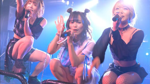 1月12日1stワンマン！！【4K/α7ⅲ/GM】にっぽんワチャチャ（Japanese idol group Nippon Wachacha）at 渋谷milkyway 2020年11月29日（日）