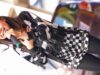 コメント映像あり！【4K/60P/a7SⅢ】COCORO学園MULCUL♡ STREET LIVE IN 足利RISING 2021/02/21