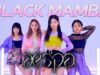 aespa (에스파) – Black Mamba 블랙맘바 coverdance @GROUN_D