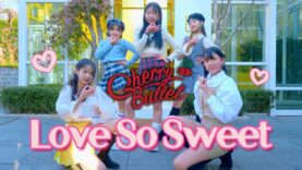 체리블렛(Cherry Bullet) – Love So Sweet COVER DANCE @GROUN_D DANCE