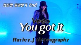 Vedo – You got it / Choreography  Harley J @GROUN_D DANCE