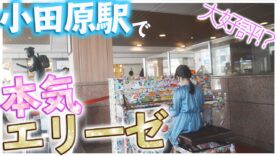 【感動】小田原駅でエリーゼのためにをガチ演奏！小学生ピアニストの本気