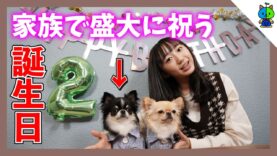 【メモリアル】丸太郎2才の誕生日を家族で盛大に祝う♪【ももかチャンネル × 丸麦チャンネル】