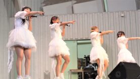 固定【4K/a7Rⅲ】】ELECTRIC JELLYFISH～電気クラゲ～/エレクトリックジェリーフィッシュ（Japanese idol group）Idol Campus 2020年9月16日（火）