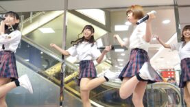[4K] JOY VAN CREW 「SPECIAL SWEET DAY」 アイドル ライブ Japanese idol group