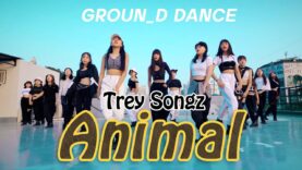 REY SONGZ- ANIMAL I  CHOREO_ RED CROWN @GROUN_D DANCE