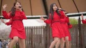 あかぎ団 「Sakura超特急」ひとみちゃんカメラ 2021/04/03 前橋公園