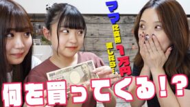 【検証】いきなりママに1万円渡したら何買ってくるのか？