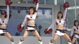 [4K] チア Cheerleading アズワンブラックイーグルス チアリーダー Xリーグ Cheer