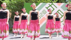 [Hula dance] 東京大学フラサークル KaWelina 2019 ① [4k]