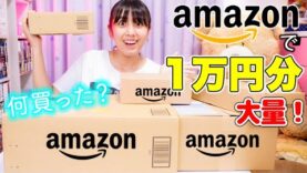 Amazonで1万円分買っていいよ！いきなり言われたら何買う？ずっと欲しかったアレやロッキーのおもちゃ！【Amazon】【1万円分】