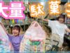 天国✨ダイエット中に駄菓子を箱買いしまくるJK【ベイビーチャンネル】
