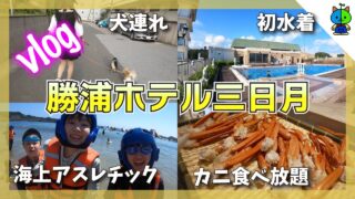 【vlog】海だ！カニだ！三日月だ！夏休み一泊二日勝浦の旅【ももかチャンネル】