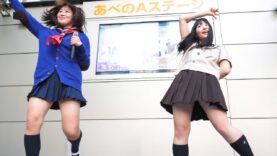 青山外苑前学院 「シュレーディンガーのネコ」アイドル Japanese girls Idol group [4K]