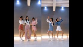 IU(아이유) ‘Celebrity’ Dance Cover 커버댄스