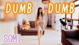 【SOMI】DUMB DUMB 踊ってみた♪(反転) Dance Cover