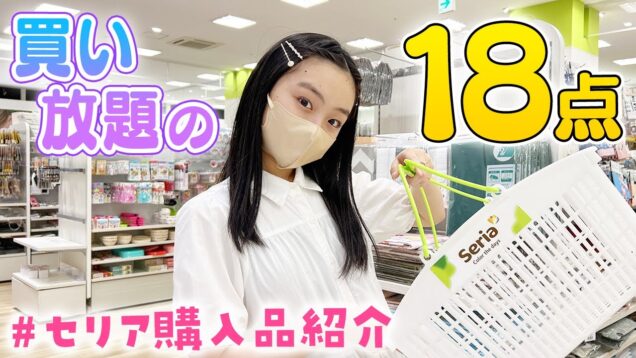 全部100円は神！セリア5分間買い放題でゲットした購入品全18点の紹介♪