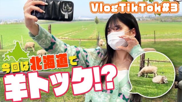 【北海道】羊とコラボしてきました！w【VlogTikTok】〜前編〜