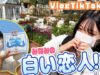 【北海道】二日目はみなみオリジナルクッキー！？【VlogTikTok】〜後編〜