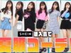 SHEIN購入品で夏服コーデ組んでみた！
