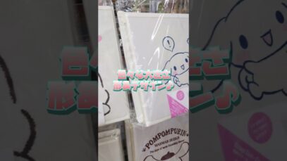 〖100均・ダイソー〗サンリオの収納グッズがどれも可愛すぎて困る💭