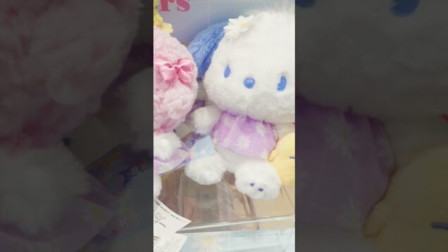 〖サンリオ〗春にぴったり✿デイジーデザインシリーズが可愛い💛