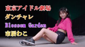 市居わこ（Blossom Garden）【東京アイドル劇場】【ダンチャレ】【2022/10/29】