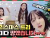 크리스마스 트리 꾸미다 망했습니다… ㅠㅠ 비타민의 크리스마스 트리🎄꾸미기 브이로그!｜클레버TV