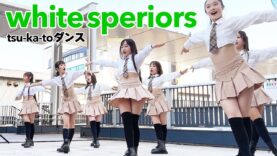 【4K引き固定】white superiors「tsu-ka-toダンス」 とつかストリートライブ　2023/3/11