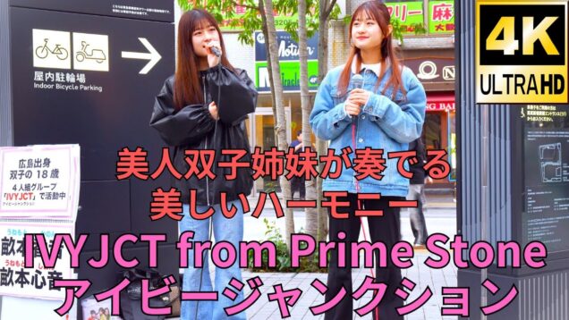 ②【固定】美人双子姉妹♡【4K/60p】IVYJCT from Prime Stone/アイビージャンクション（Japanese idol group）東急歌舞伎町タワー 2024年4月6日（土）