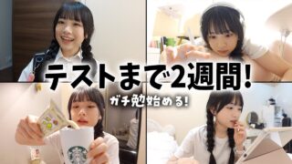 テスト2週間前になったのでテスト勉強始めるJKの放課後Vlog📖