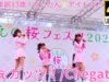 固定【4K/60p】ちぇガッツ！（Japanese idol group Chegattz）『うえの桜フェスタ2024』上野恩賜公園 噴水広場 2024年3月24日（日）