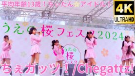 固定【4K/60p】ちぇガッツ！（Japanese idol group Chegattz）『うえの桜フェスタ2024』上野恩賜公園 噴水広場 2024年3月24日（日）