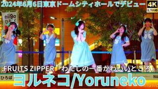 ①【4K/60p】ヨルネコ（Japanese idol group Yoruneko）Yokohama City Music niigo広場 2024年8月9日（金）