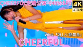 ②カバー曲【4K/60p】CHEERFUL（Japanese idol group）アイゲキ「CHEERFUL定期公演《40分SP》」高田馬場BSホール 2024年11月3日（日）