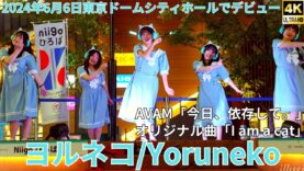 ②【4K/60p】ヨルネコ（Japanese idol group Yoruneko）Yokohama City Music niigo広場 2024年8月9日（金）