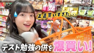 テスト勉強がんばるためにコンビニで買い物したら買いすぎて爆買いになった💧【全16点】