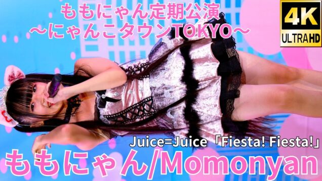 ①【4K/60p】ももにゃん（Japanese idol singer Momonyan））アイゲキ「ももにゃん定期公演～にゃんこタウンTOKYO～」2024年11月16日（土）