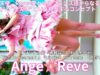 【4K/60p】Ange☆Reve（Japanese idol group）『IDOL Treasure bottle LIVE~冬の幕張スペシャル~DAY②』2025年1月19日（日）