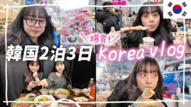 【爆食韓国Vlog①】2泊3日ソウルの旅♪明洞・広蔵市場でユッケ・タンタンイ・クァベギ・カルグクス😋