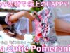 ①【4K/60p】As a Cutie Pomeranian（Japanese idol group）IDOL Treasure bottle LIVE DAY②2025年1月19日（日）