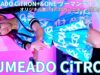 ①【4K/60p】YUMEADO CiTRON/ユメアド シトロン（Japanese idol group）アイゲキ「YUMEADO CiTRON+&ONE ツーマンライブ」2025年3月16日（日）