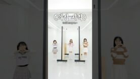 비타민 우정 텔레파시 게임하다가 놀랬습니다 ㅋㅋ🤣 #aroundtheworld #예능 #재밌는영상 #웃긴영상 #웃긴 #funny #comedy